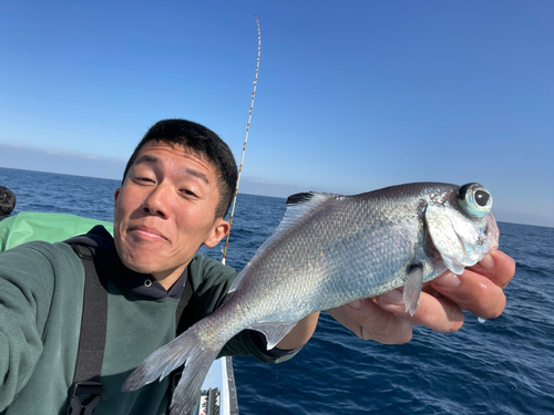 ギンメダイの釣果