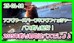ラージマウスバスの釣果