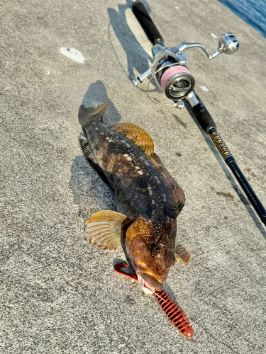 大船渡湾