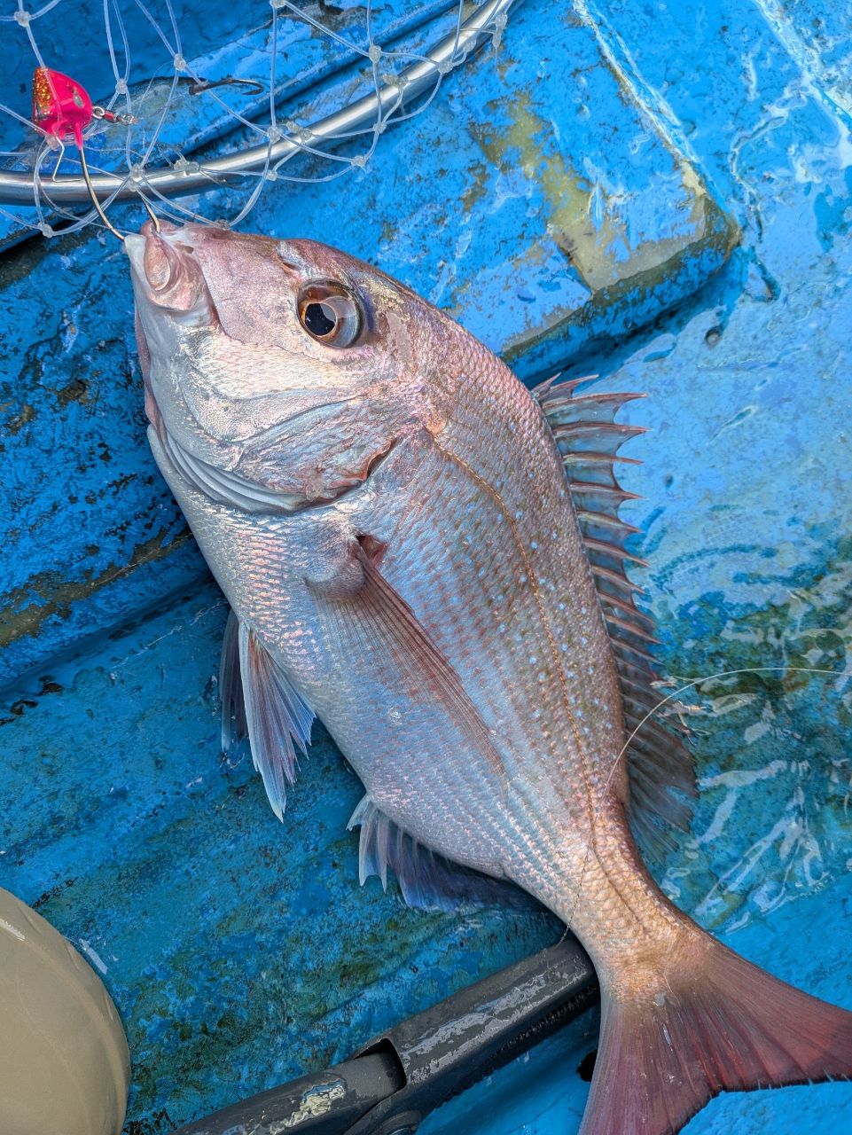 釣りバカじいさんさんの釣果 1枚目の画像