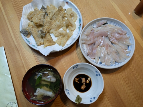 メバルの釣果