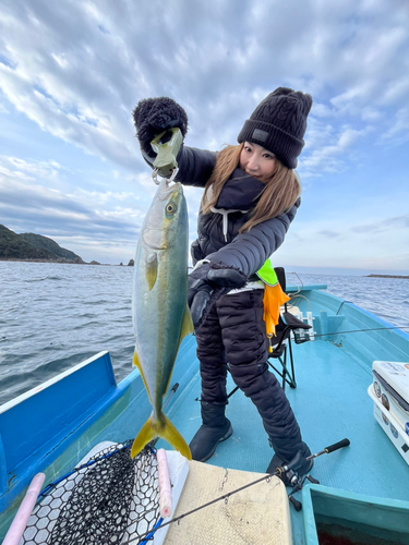 ハマチの釣果