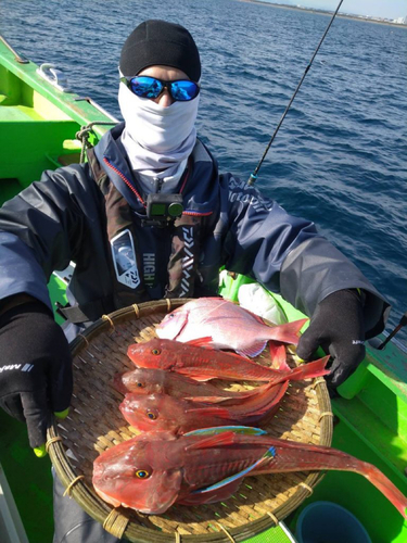 ホウボウの釣果