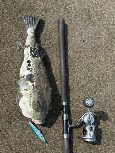 茅ヶ崎海岸