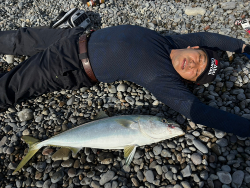 メジロの釣果