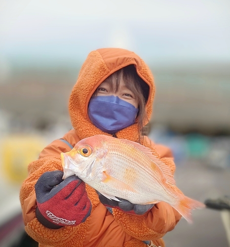 レンコダイの釣果