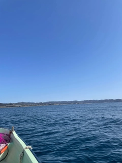 アカハタの釣果