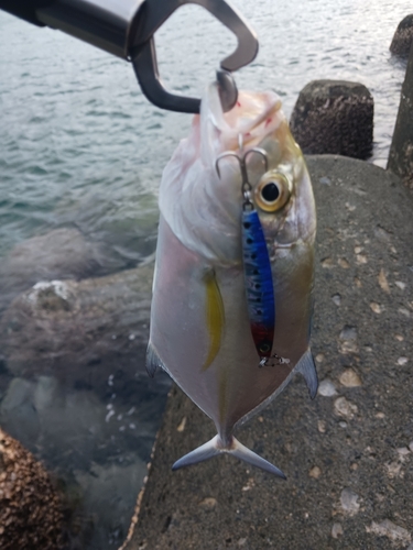 沖縄本島北部