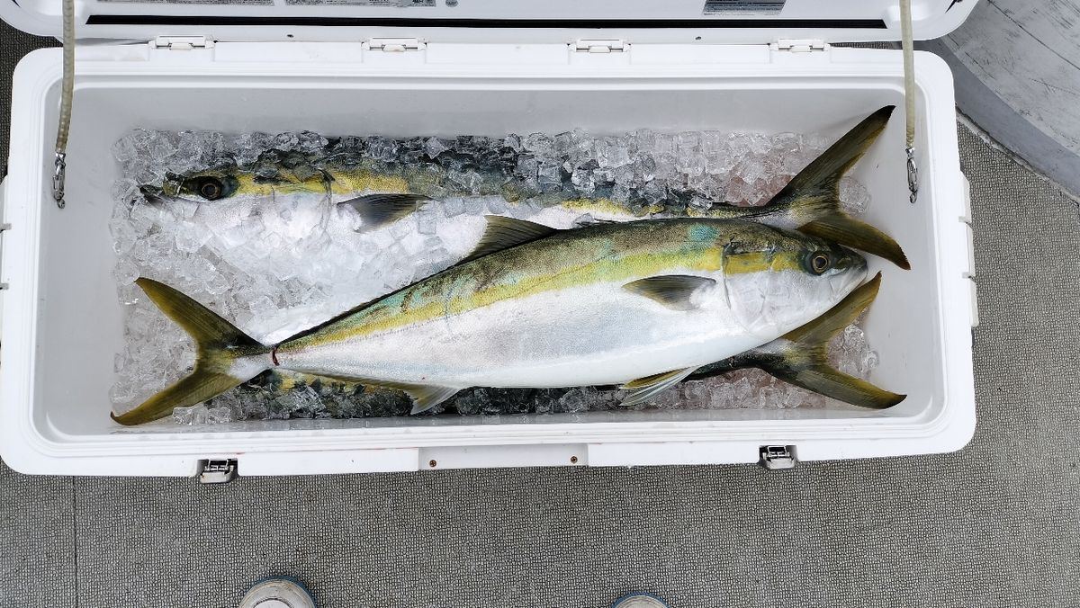 釣りする方のたかしーさんの釣果 1枚目の画像