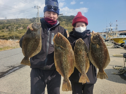 ヒラメの釣果