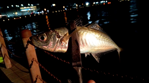 小名浜港アクアマリンふくしま周辺