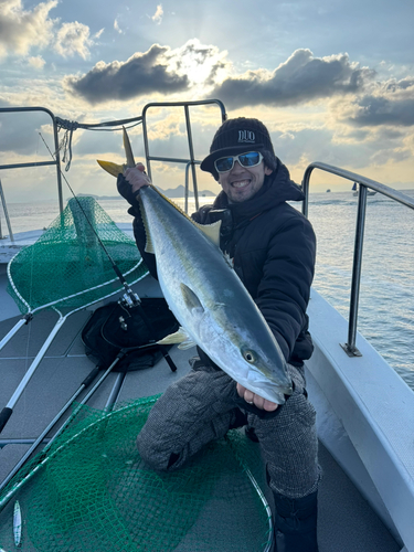 ブリの釣果