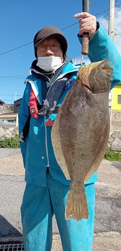 ヒラメの釣果