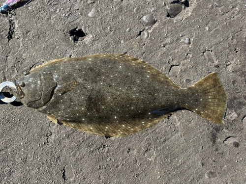 鹿島港魚釣園