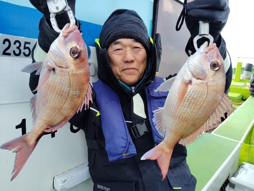 マダイの釣果