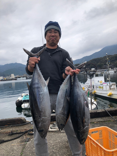 ビンチョウマグロの釣果