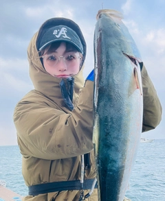 ブリの釣果