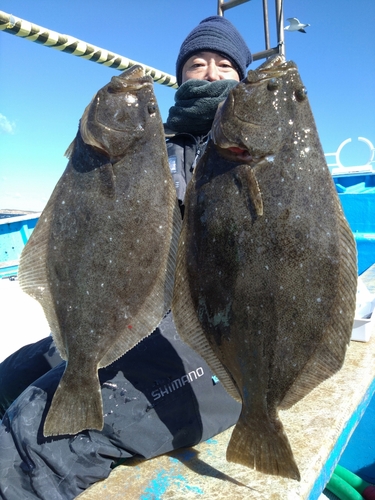 ヒラメの釣果