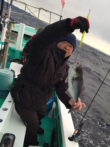 メダイの釣果