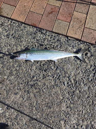 日明海峡釣り公園