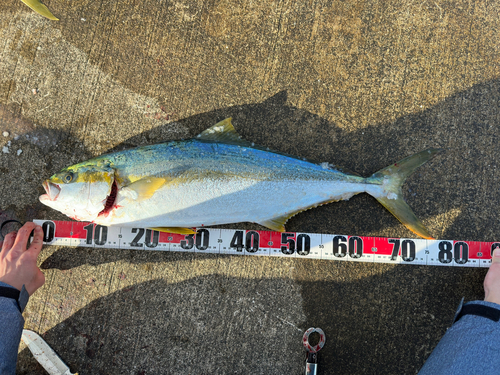 鹿島港魚釣園