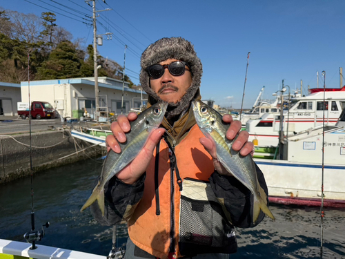 マアジの釣果