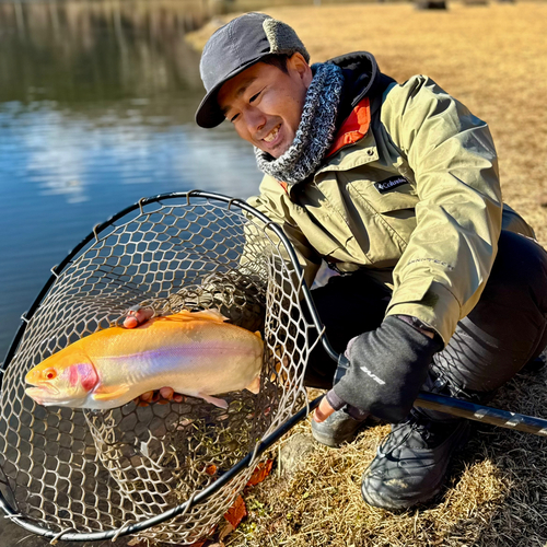 アルビノニジマスの釣果