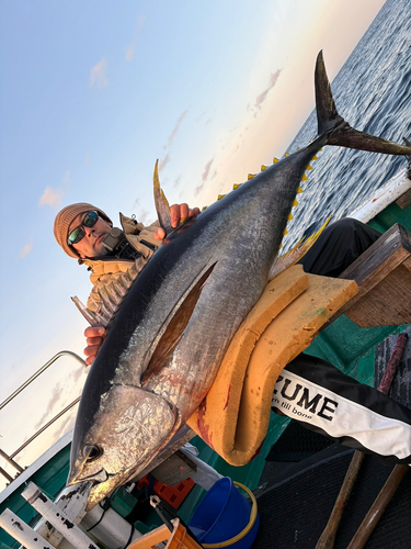 キハダマグロの釣果