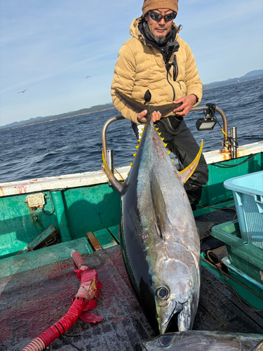 キハダマグロの釣果