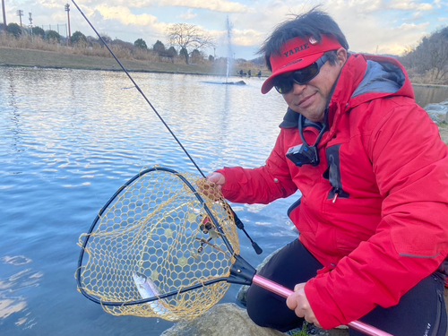 ニジマスの釣果