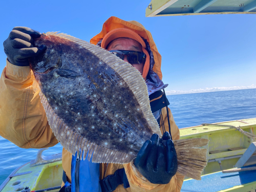 ヒラメの釣果