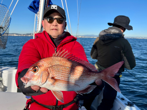 マダイの釣果