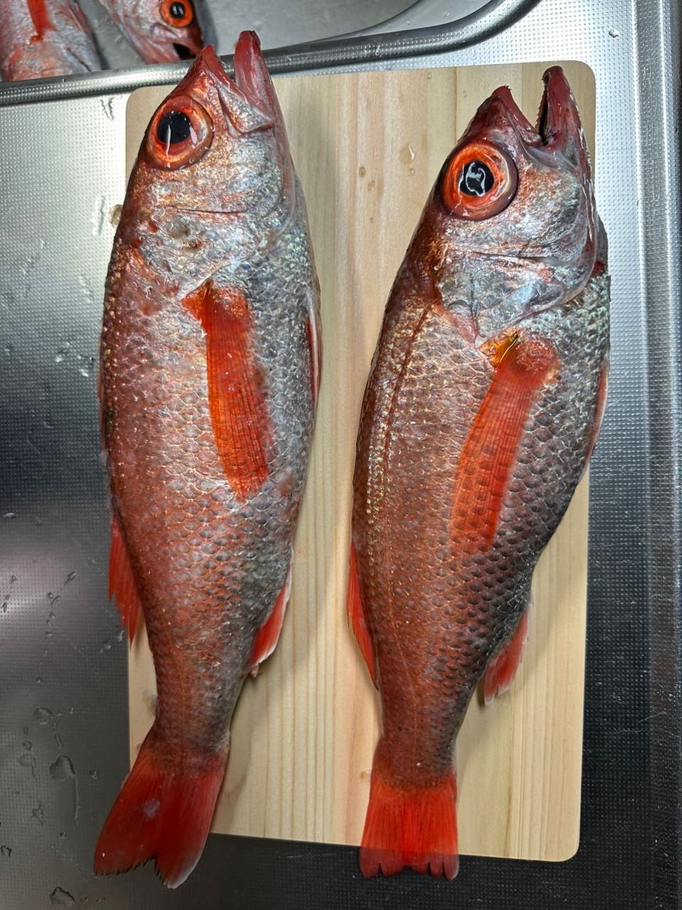 amber jackさんの釣果 1枚目の画像