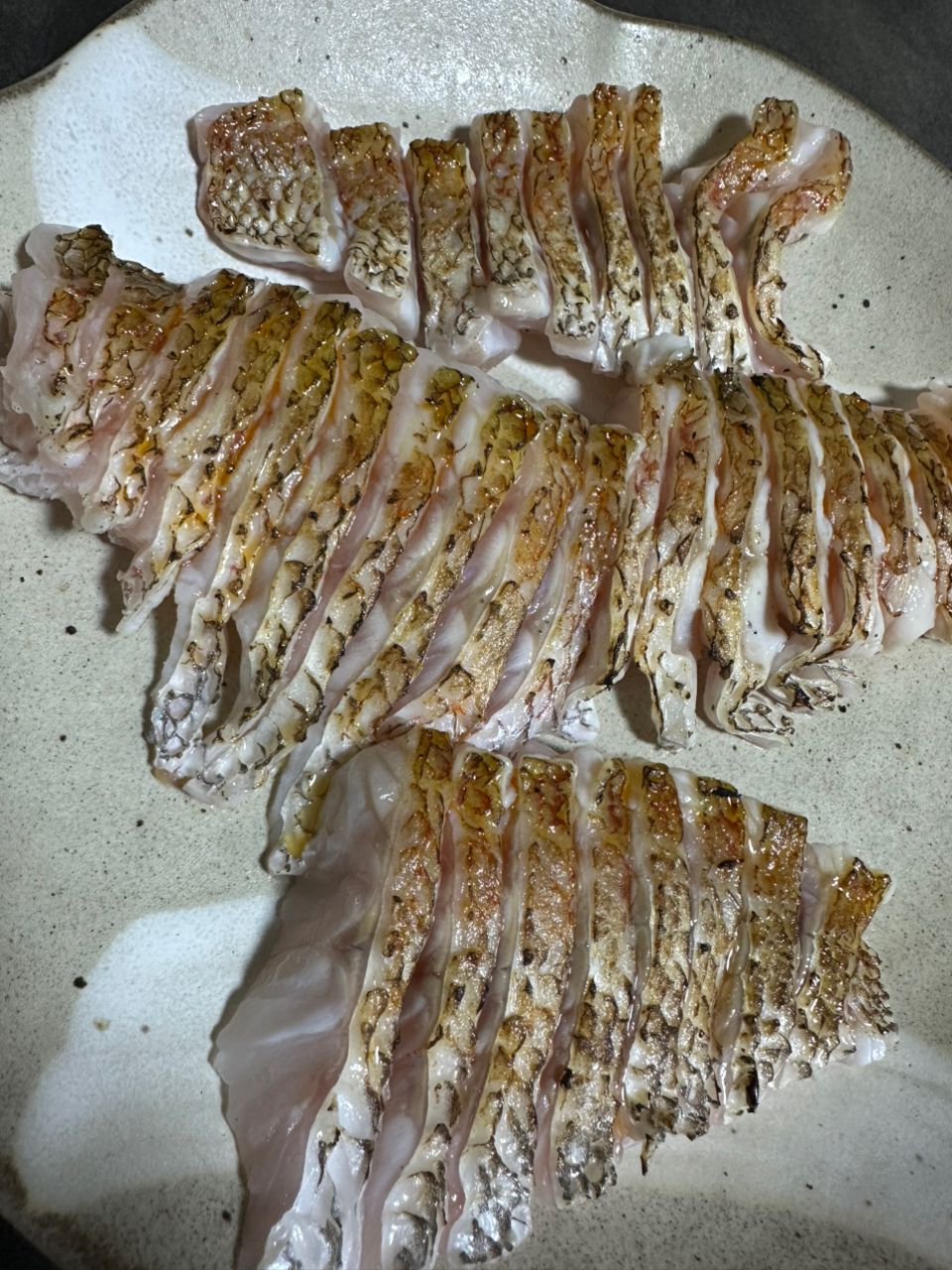 amber jackさんの釣果 3枚目の画像