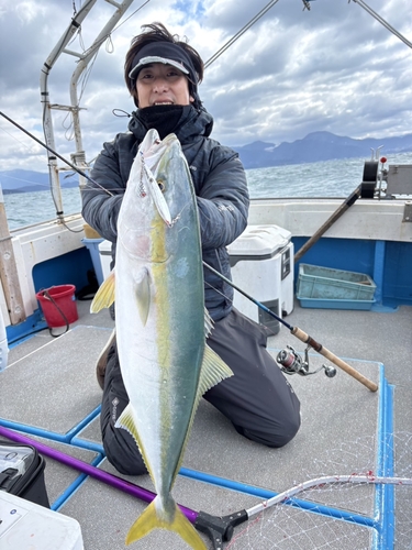 ヤズの釣果