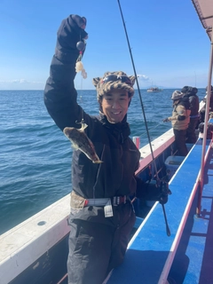 ショウサイフグの釣果