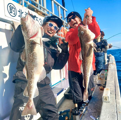 マダラの釣果