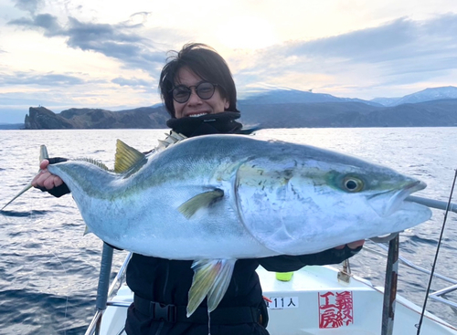 ブリの釣果