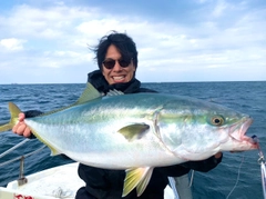 ブリの釣果