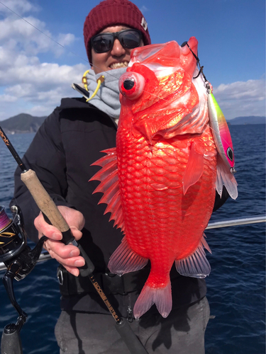 エビスダイの釣果