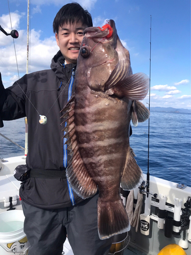 マハタの釣果