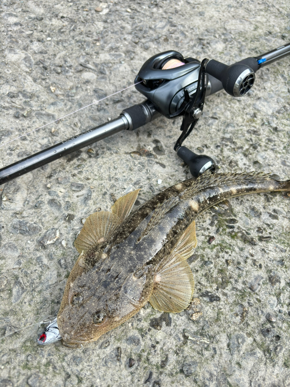 SHIMANO 22バンタム 1711MH+-SB/2の最安値・インプレ・釣果
