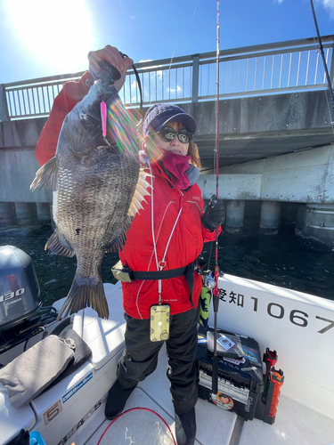 クロダイの釣果