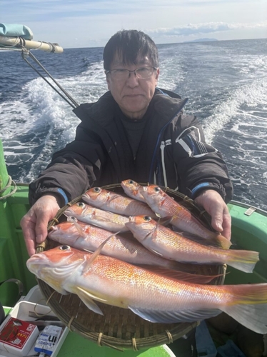 アマダイの釣果