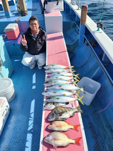 マダイの釣果