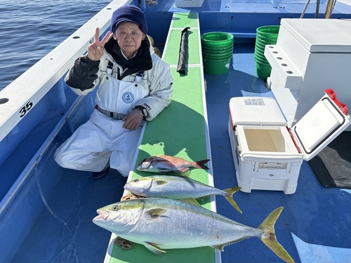 マダイの釣果