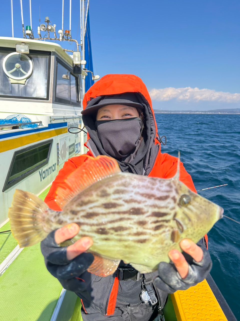 みゆ✨さんの釣果 1枚目の画像