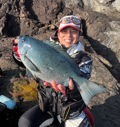 クチブトグレの釣果