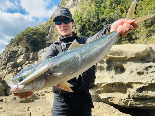 メジロの釣果