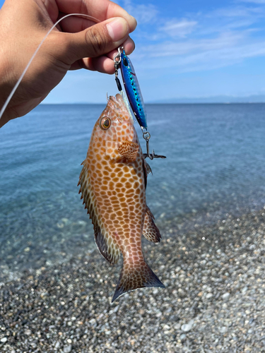 片浜海岸